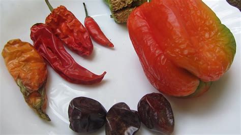 How to Grow Chillies from Chillies at Home Pots | Kitchen Gardening ...