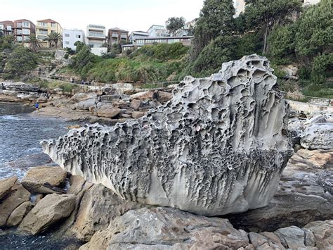 Beautiful rock formation on coastal walk Sydney Australia 🇦🇺 ...