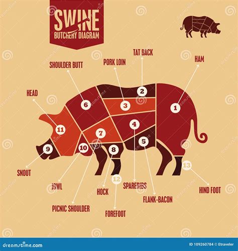 Diagram Of Pork Cuts Of Meat