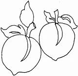 Peach coloring page  Free Printable Coloring Pages sketch template