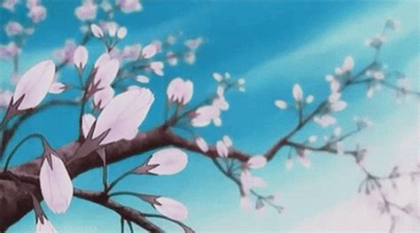 Top 77+ cherry blossom anime gif latest - in.coedo.com.vn