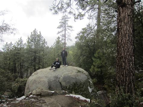 Camping at Idyllwild - The Yang Lab at University of California, Irvine