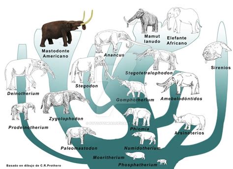 Elephants by fotostomias | Prehistoric animals, Elephant, Megafauna