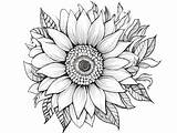 Sunflower Mandala Coloring Page  sketch template