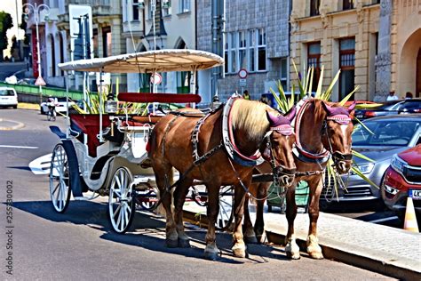 Karlsbad, a spa town in Bohemia, frequently visited by tourists Stock ...