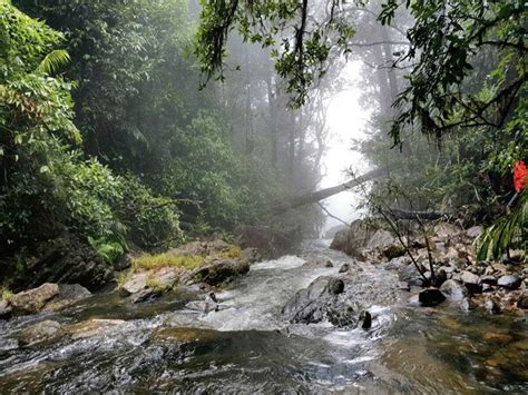 Agumbe, Karnataka | Weather, Ghat, Rainforst, Falls, Trek