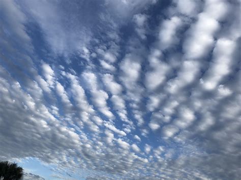 Cirrus Clouds ( i think ) Orlando.Fla [its an iphone 1125x2436] : r/SkyPorn