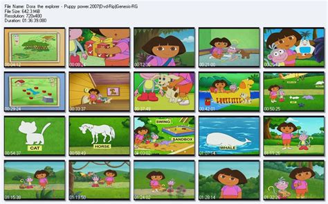 Nick Jr Dora The Explorer Abc Animals