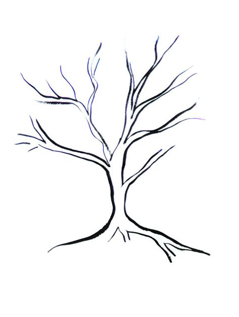 Easy To Draw Tree With Branches at Ollie Stringer blog