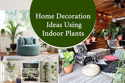 Home Decoration Ideas Using Indoor Plants | Plants Information