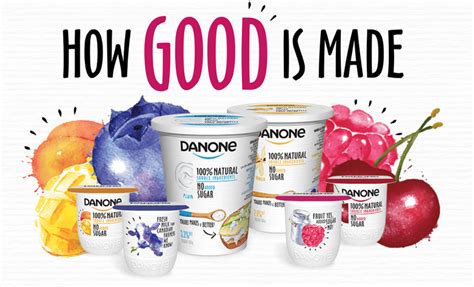 Danone Frozen Yogurt Nutrition | Besto Blog