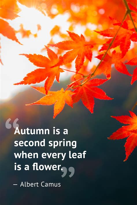 10 Beautiful Fall Quotes to Celebrate the Season | Höst citat, Ord och ...