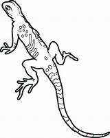 Leopard Gecko Coloring Pages Printable At Tannoelblog Blog sketch template