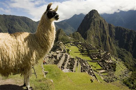 Incas & Conquistadors | Llama Travel | AITO