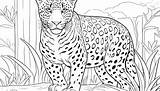 Premium AI Image  Blank coloring Page With Simple Outlines For Kids sketch template