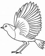 Bird Feather Coloring Pages – Warehouse Of Ideas sketch template