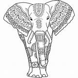 Elephant Coloring Pages For Adults  Best Kids sketch template