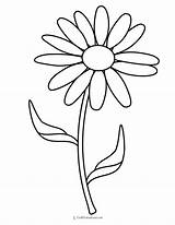 30 Flower Coloring Pages sketch template