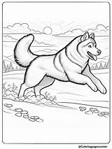 8 Husky Coloring Pages  Free Printable PDF sketch template