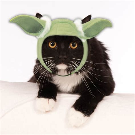 Star Wars Yoda Hood Cat Costume | BaxterBoo