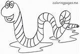 Worm Coloring Pages & Books  100% FREE And Printable sketch template