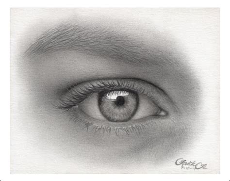 Pencil Drawing - colour.mx