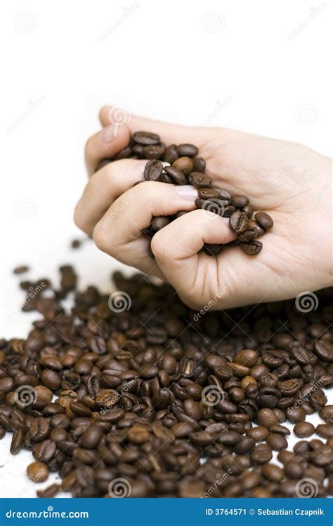 Hand Pouring Coffee Beans Stock Image - Image: 3764571