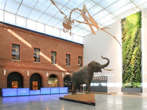 Photos - The Museum of Toulouse - Tourism & Holiday Guide