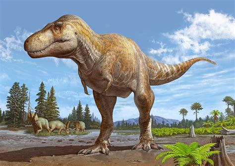 New dinosaur discovery may be the closest relative to Tyrannosaurus rex ...