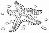 40  Starfish Coloring Pages Free Printable PDF & Online sketch template
