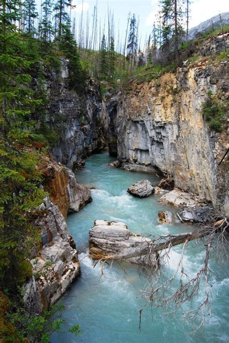 Marble Canyon Kootenay, British Columbia | Marble canyon, Kootenay national park, Travel photos