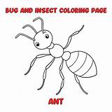 ANT coloring Page For A Children bugs Book  Premium AI sketch template