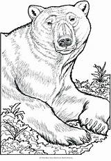 Wild Animals Coloring Pages Printable At GetColoringscom  Free sketch template