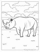 22 Rhino Coloring Pages Free PDF Printables sketch template