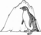 Free Printable Penguin Coloring Pages For Kids sketch template