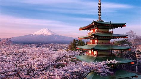 4098x768px | free download | HD wallpaper: cherry blossom, volcano, mountain, fuji, mount fuji ...