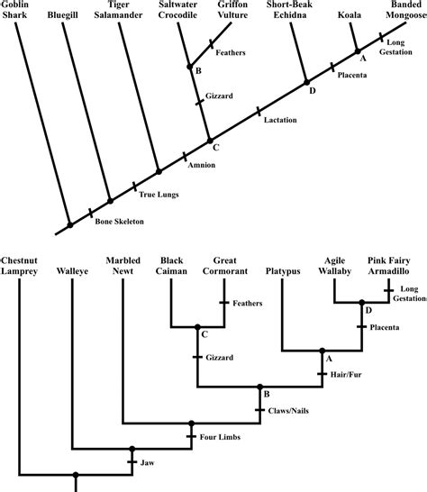 Further Effects of Phylogenetic Tree Style on Student Comprehension in ...