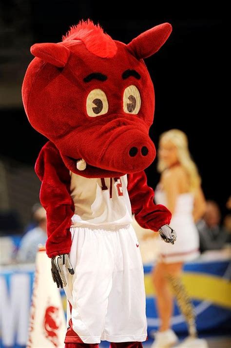 Arkansas Razorbacks mascot Porkchop. | College Mascots: SEC | Pinterest ...