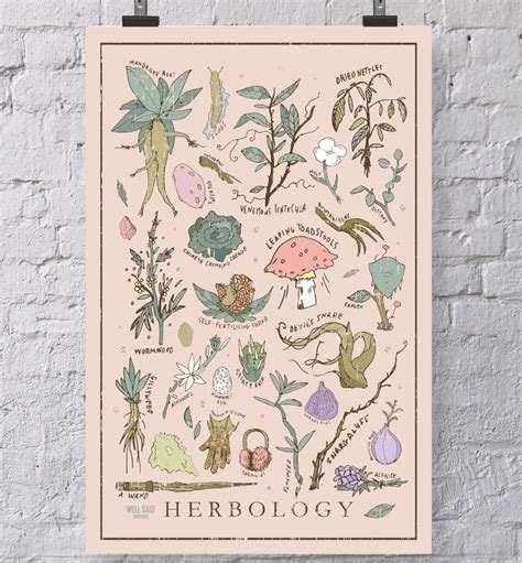 Harry Potter Herbology Plants - Plants BA