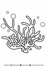 33 Best Ideas For coloring  Seaweed Coloring Pages Kids sketch template