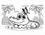 Alligator Coloring Pages For Kids sketch template