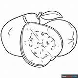 Guava Coloring Clip Pages Outline Clipart Colouring Cliparts Para  sketch template
