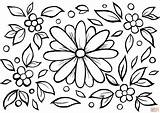 Flower Coloring Sheets  Flowers Page Free Printable sketch template