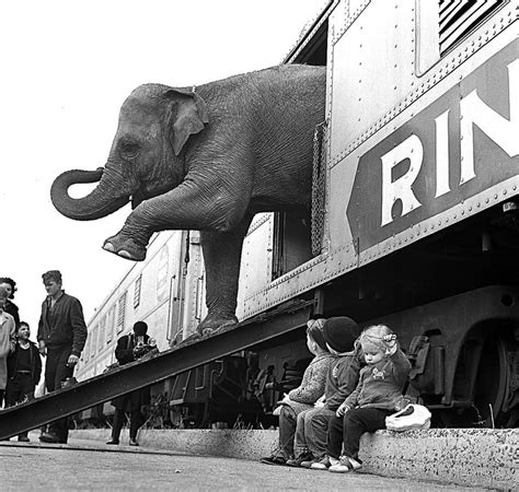 A history of Ringling Bros. circus | Hot Springs Sentinel Record