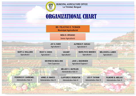 View Sangguniang Bayan Organizational Chart PNG