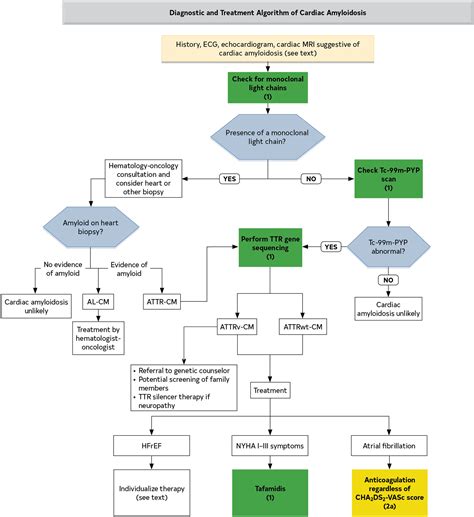 Heart Attack Treatment Diagram