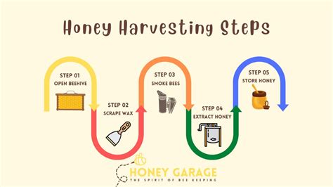 Honey Harvesting Basics - Honey Garage