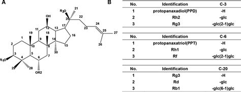 -(A) The core structure of ginsenosides. (B) Ginsenoside structure with ...