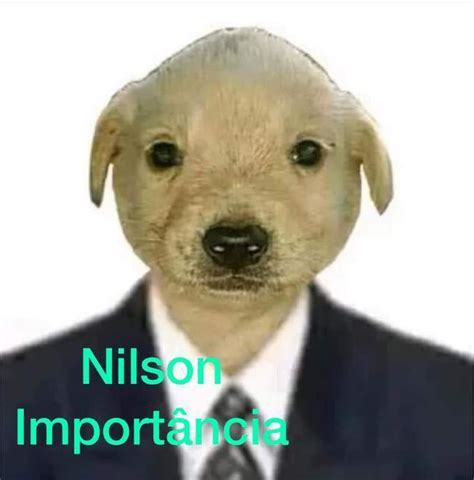 Nilson Importância | Jotchua | Know Your Meme