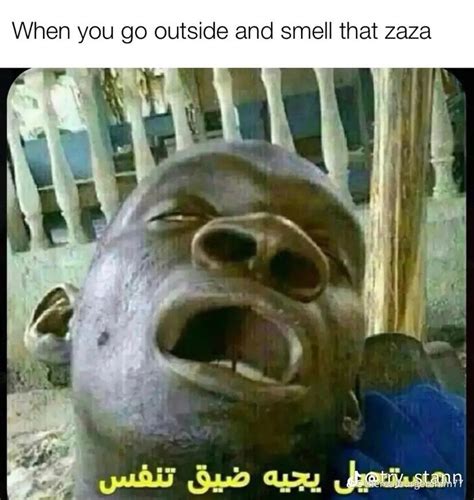 When you find the ZAZA | Very funny memes, Stupid funny memes, Funny memes